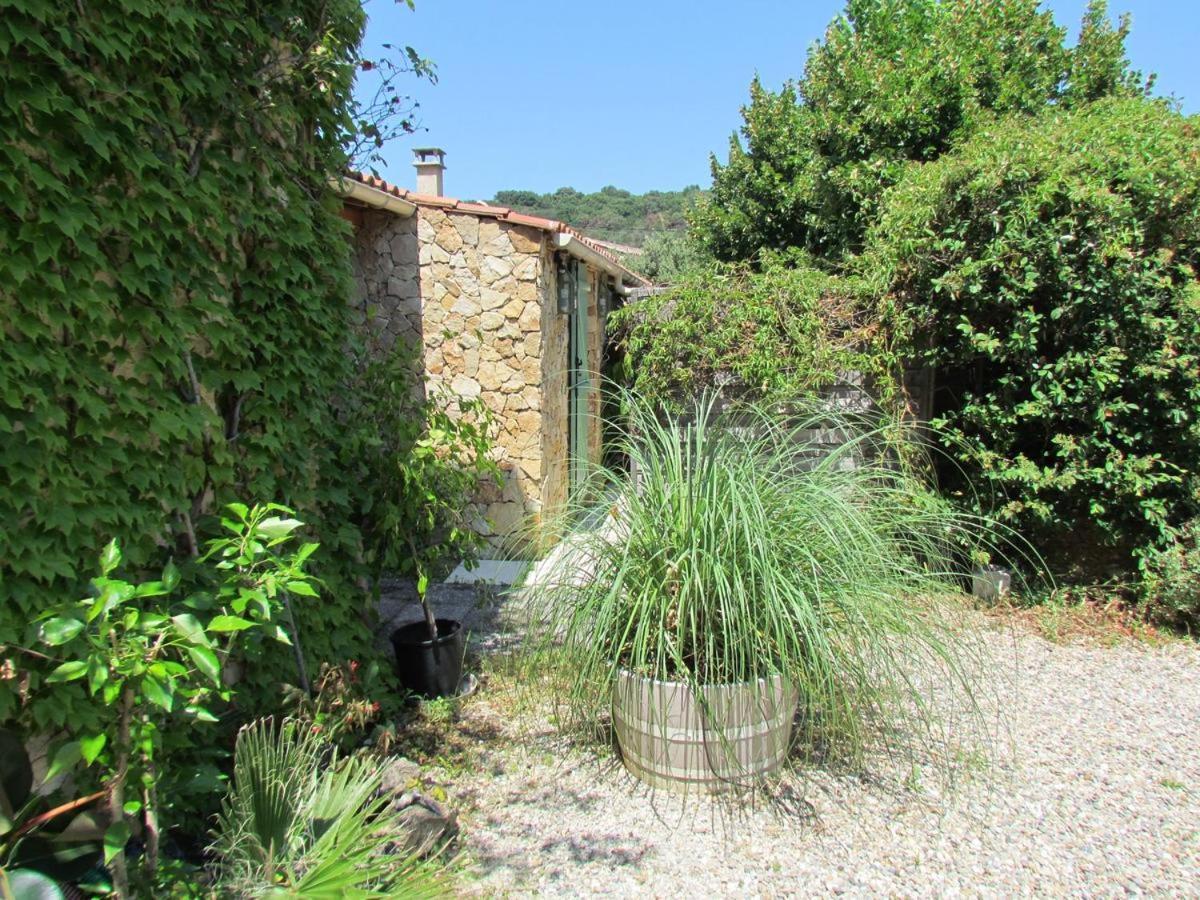 Chambre D'Hotes Des Oliviers La Roque-sur-Cèze المظهر الخارجي الصورة